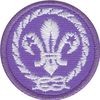Nášivka WOSM